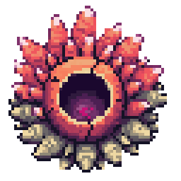 CORAL LURKER